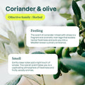 Attitude Dishwashing Liquid Coriander & Olive Purpose