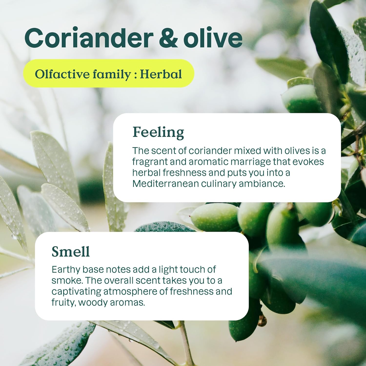 Attitude Dishwashing Liquid Coriander & Olive Purpose