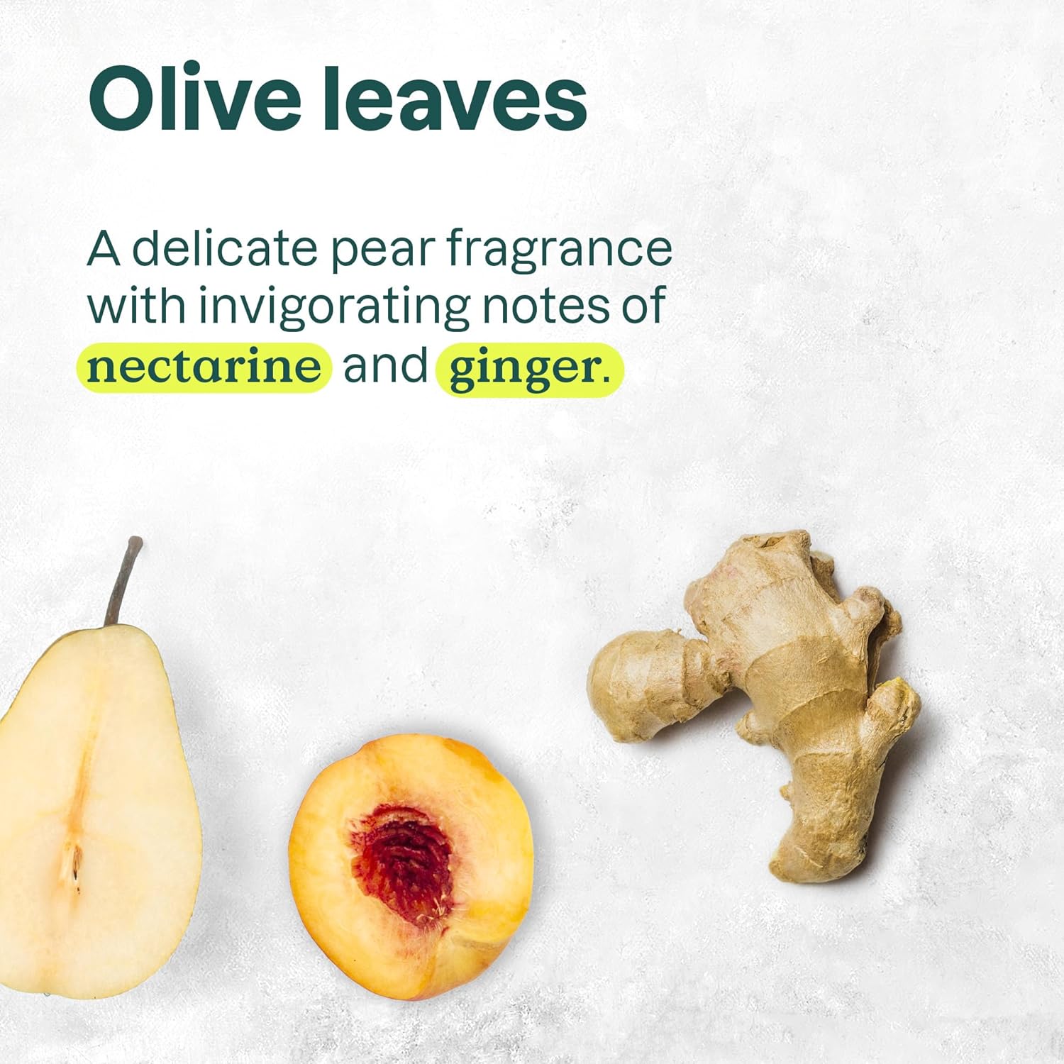 Attitude Super Leaves Foaming Hand Soap Olive Leaves description