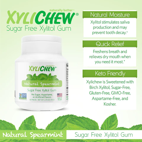 Xylichew Chewing Gum Jar Spearmint, 60 Count