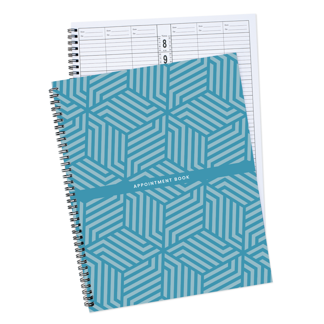 DL Pro Appointment Book 6-Column