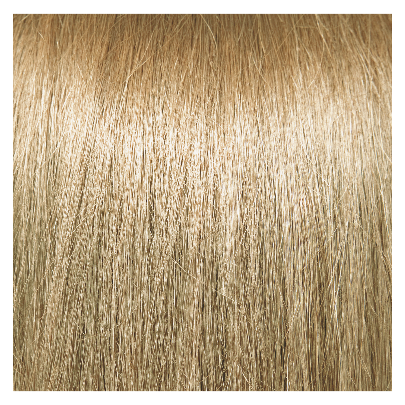 Pravana Colors Chromasilk Permanent Creme Color