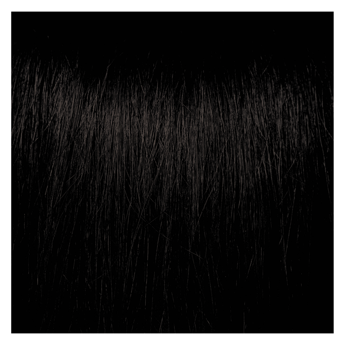 Pravana Colors Chromasilk Permanent Creme Color