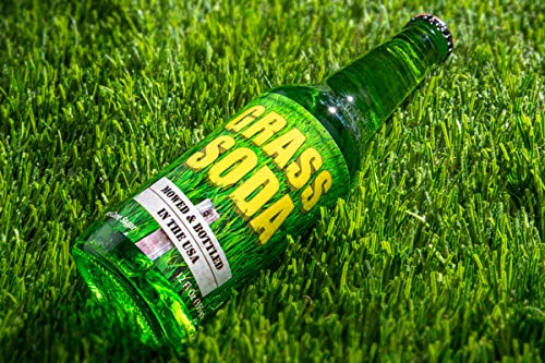 Grass Soda, 12 oz.